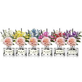 cocod'or Rose Flower Reed Diffuser 200ml/6.7oz