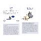 detail image1 Cat Character Style Inventory