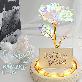 detail image5 LED flower road Aurora rose glass dome mood light lover's gift